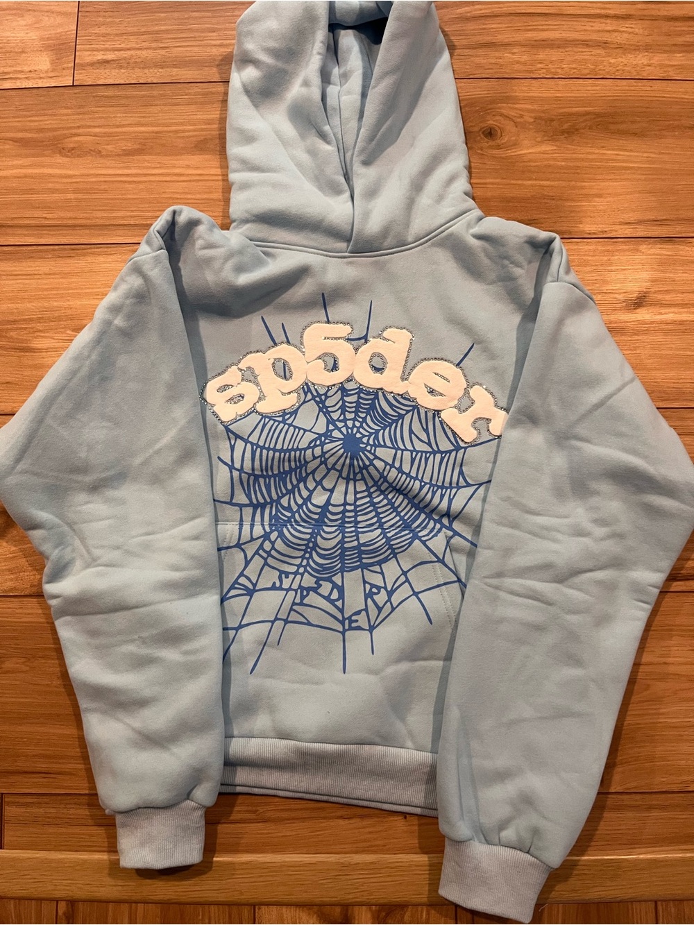 Light Blue Pullover Hoodie with Spider Web Graphic